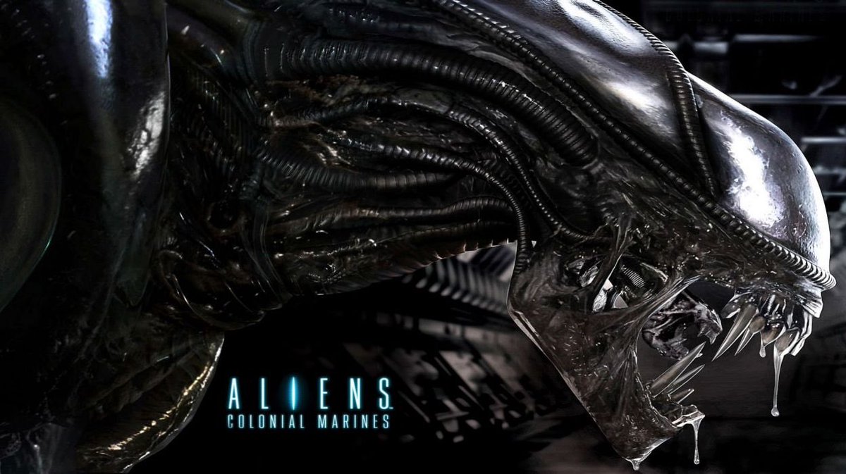Thundersmashs's tweet photo. Welcome to area 51. This will be your greeting party as you enter the gates of no return you stupid fucking idiots. https://t.co/ZeC5kJnVQm