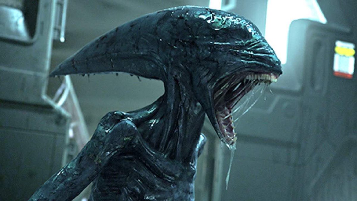Thundersmashs's tweet photo. Welcome to area 51. This will be your greeting party as you enter the gates of no return you stupid fucking idiots. https://t.co/ZeC5kJnVQm