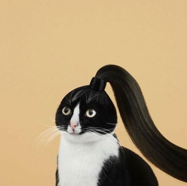 memes estranhos tweet media