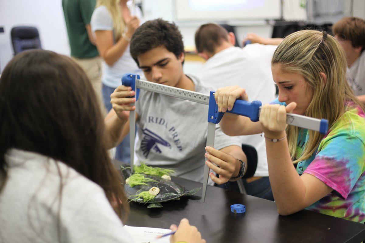 FloridaPrepNews's tweet photo. Thank you to Ms. Kendra and Mr. Quintin for coming to Florida Prep and teaching us about Sea Turtles, Conservation and Restoration! #flprep #floridaprep #summer #seaturtles #coastalconnections #ocean #privateschool #boardingschool https://t.co/DL27nGtfQu