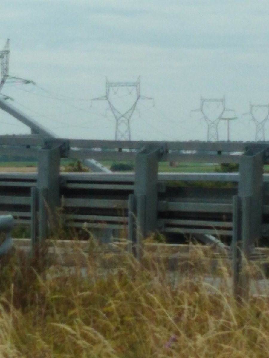 The_Good_Dale's tweet photo. I drove exactly 430 miles...
@mfrost11
#TwinPeaks
#SeeingOwlsEverywhere
#electricity
#interdimensionalportal https://t.co/EeO8nmtWim