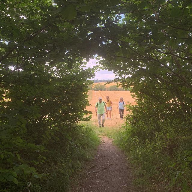 Summer days #nordicwalking #mymcss Marlborough College Summer School ift.tt/2YUPa1z