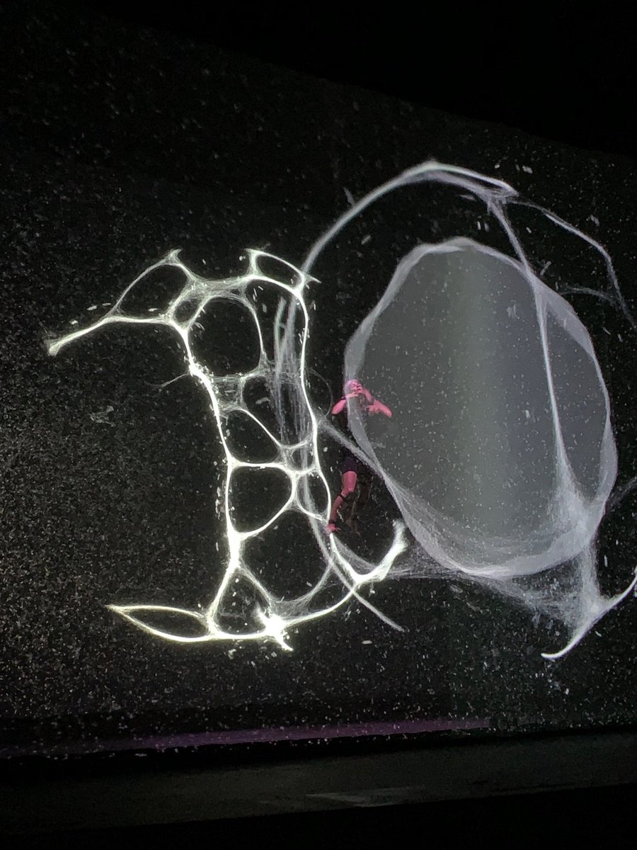 Felicitamos al ⁦<a href="/TeatroPurisima/">TeatroPurísima</a>⁩ por su inauguración el día de hoy. Le deseamos el mejor de los éxitos y una larga vida cultural. ⁦<a href="/ForumCultural/">Forum Cultural Guanajuato</a>⁩ ⁦@IECGuanajuato⁩ ⁦<a href="/CamarenaObeso/">Adriana Camarena de Obeso</a>⁩ ⁦<a href="/mahg_mx/">MuseoArteHistoriaGto</a>⁩ ⁦<a href="/TeatrodelB/">Teatrodelb</a>⁩