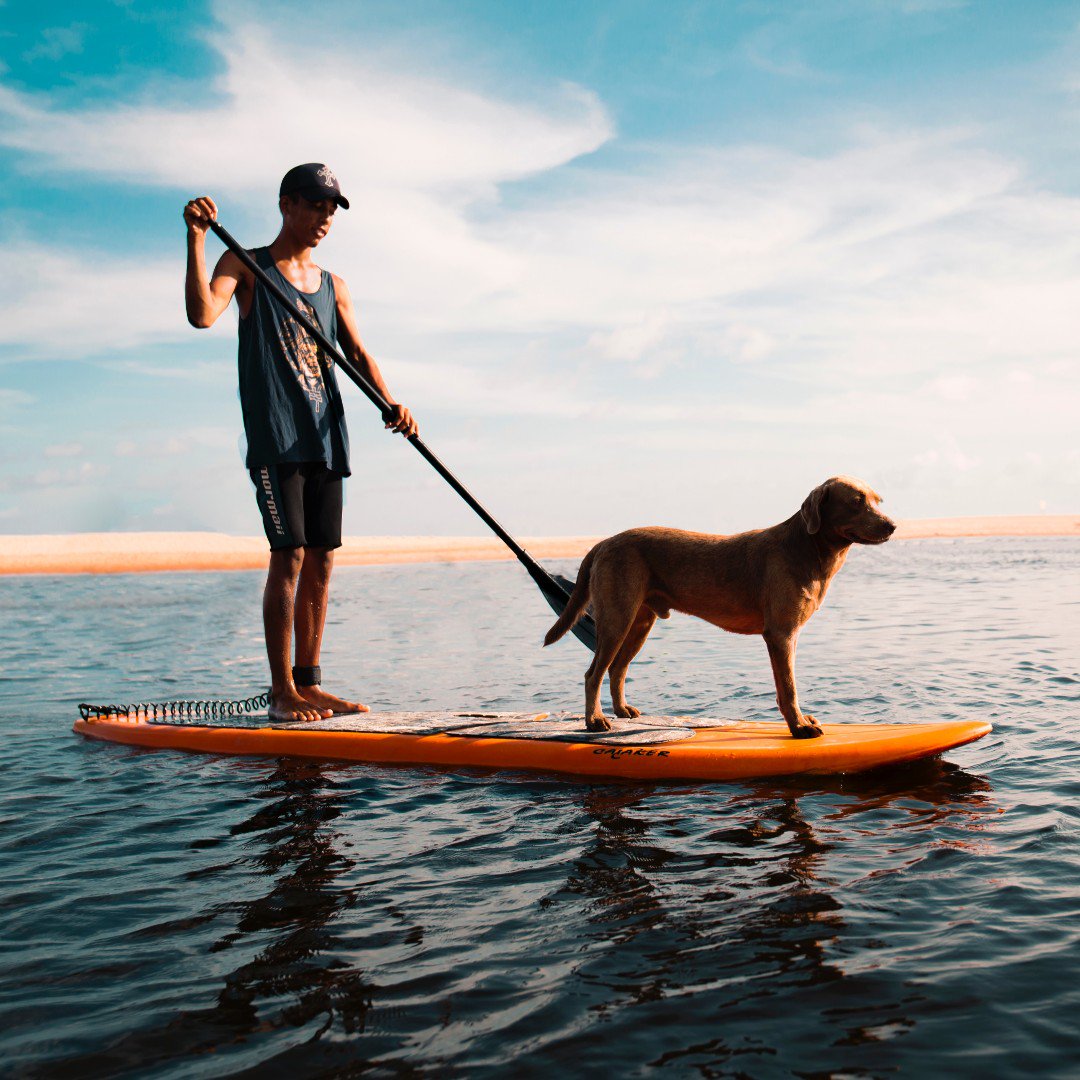 Wanting to go on holiday with the ‘whole’ family? Bob Kerridge offers some helpful advice about travelling with your furry friends…ow.ly/b0GY50v5zsi

#jetparkhotels #petfriendlyhotel #travelingpets #petvacation #furryfriends #purelove #pawsome