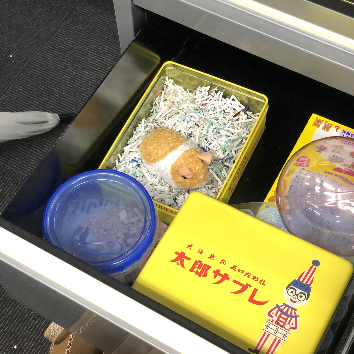 新人がデスクの引き出しでハムスターを飼っている と言い見せてきた Togetter 新人がデスクの引き出しでハムスターを飼っている と言い見せてきた Togetter