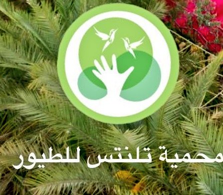 Waleedaldahash's tweet photo. كم سرني وابهج صحبنا وظيوفنا الكرام من دبي وأبوظبي زيارةمنتجع وحديقة(تالنتس) والاطلاع على العمل الرائع الذي أنجزةالمبدع صاحب السعادةاخي عبدالرحمن السبيعي
في صرح سياحي جاذب للمنطقةالقصيم وسرناجميعاًسماع خططةالمستقبليةللمنتجع

شكر لك ولكرمك وظيافتك ولُطف استقبالك

كل التوفيق ابونوره https://t.co/zL9fL7XWRK