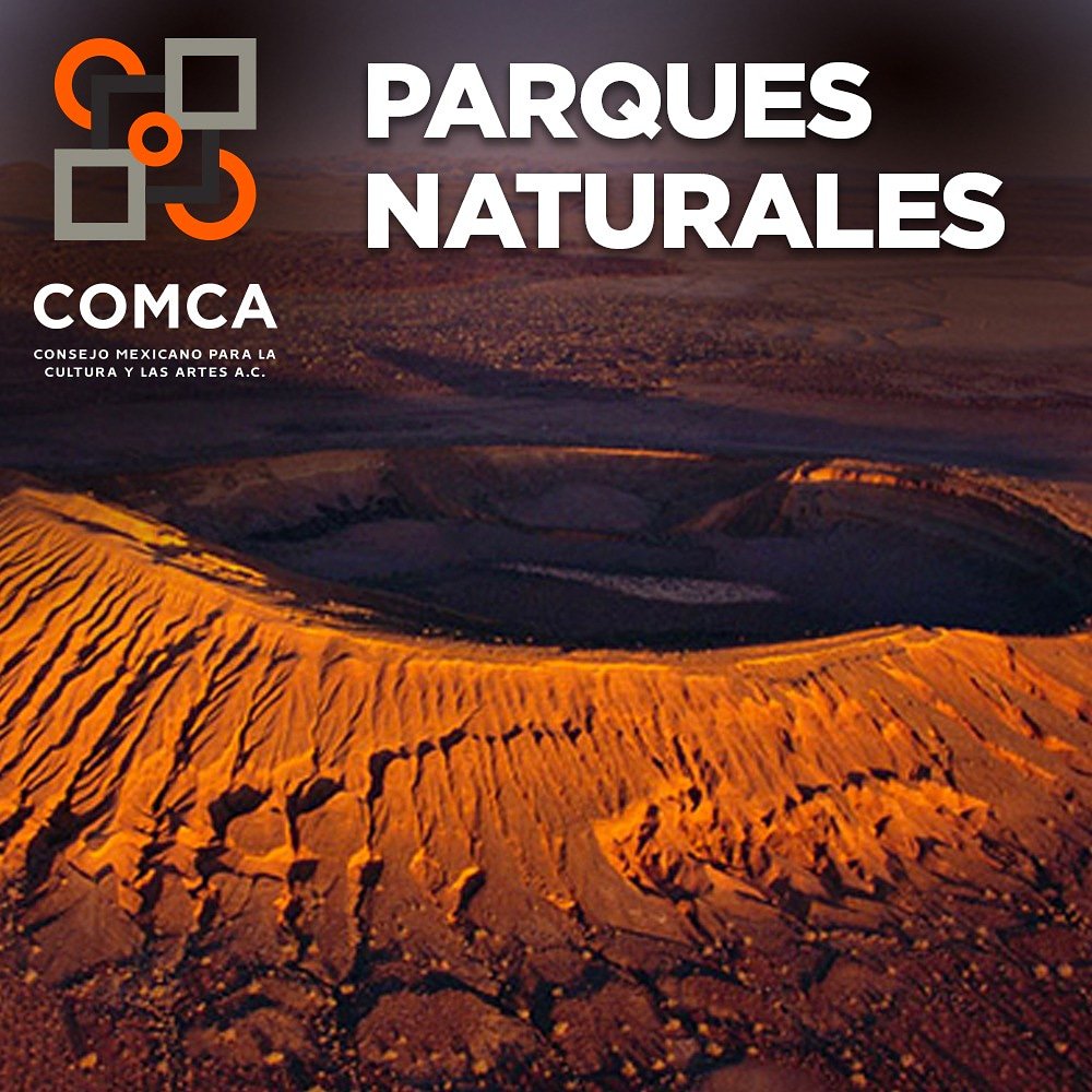 #DatosAbiertos espacios libres y funcionales.

#Parques

 #Naturaleza  🏞️⛲