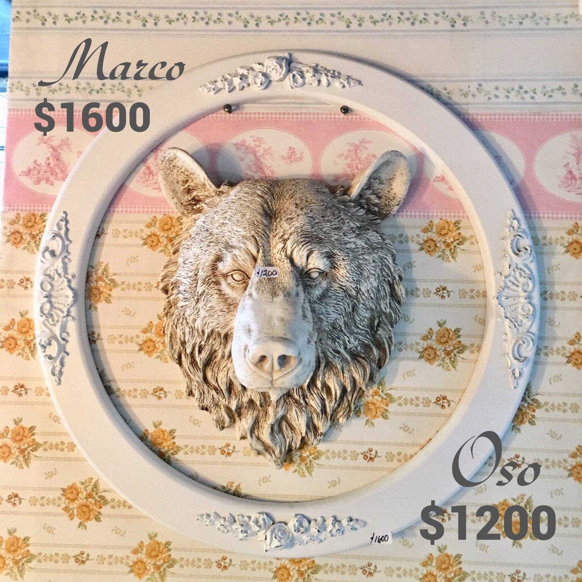 Casa Constanza tweet media