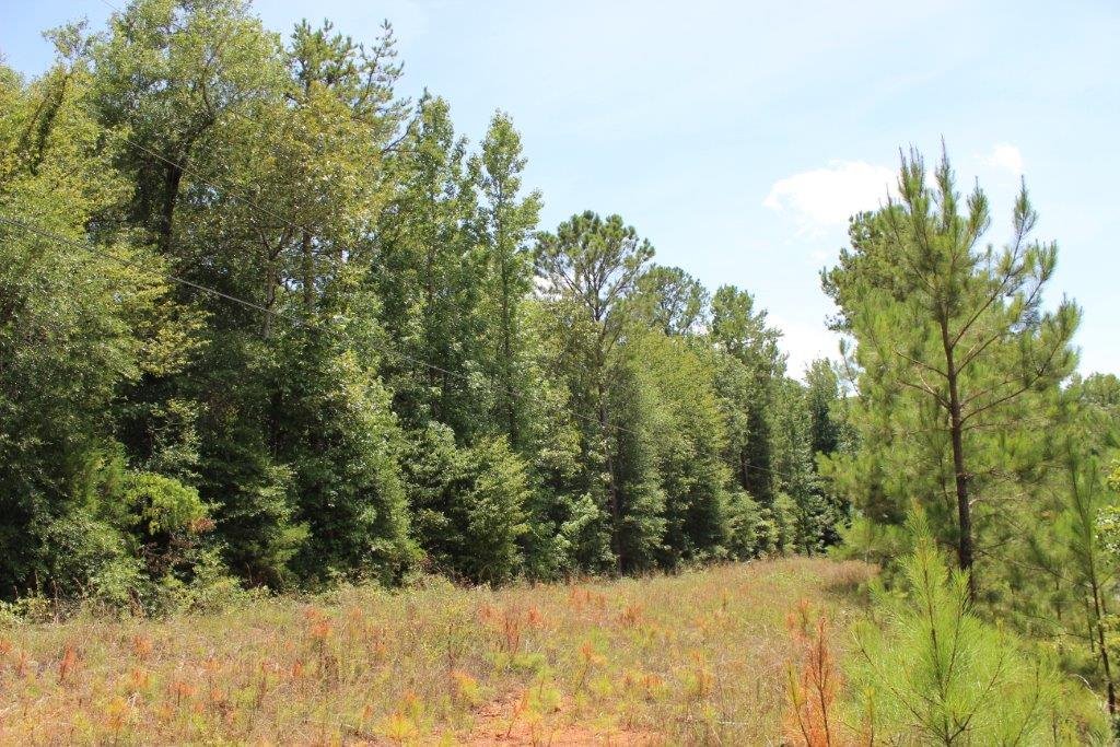 TrueSouthProp's tweet image. Nice homesite that is conveniently located in a quiet area between I-85 and I-185. This country setting is convenient to West Point, LaGrange, Columbus and East Alabama.  Priced to sell at $17,000. Call Brad Nolen today!