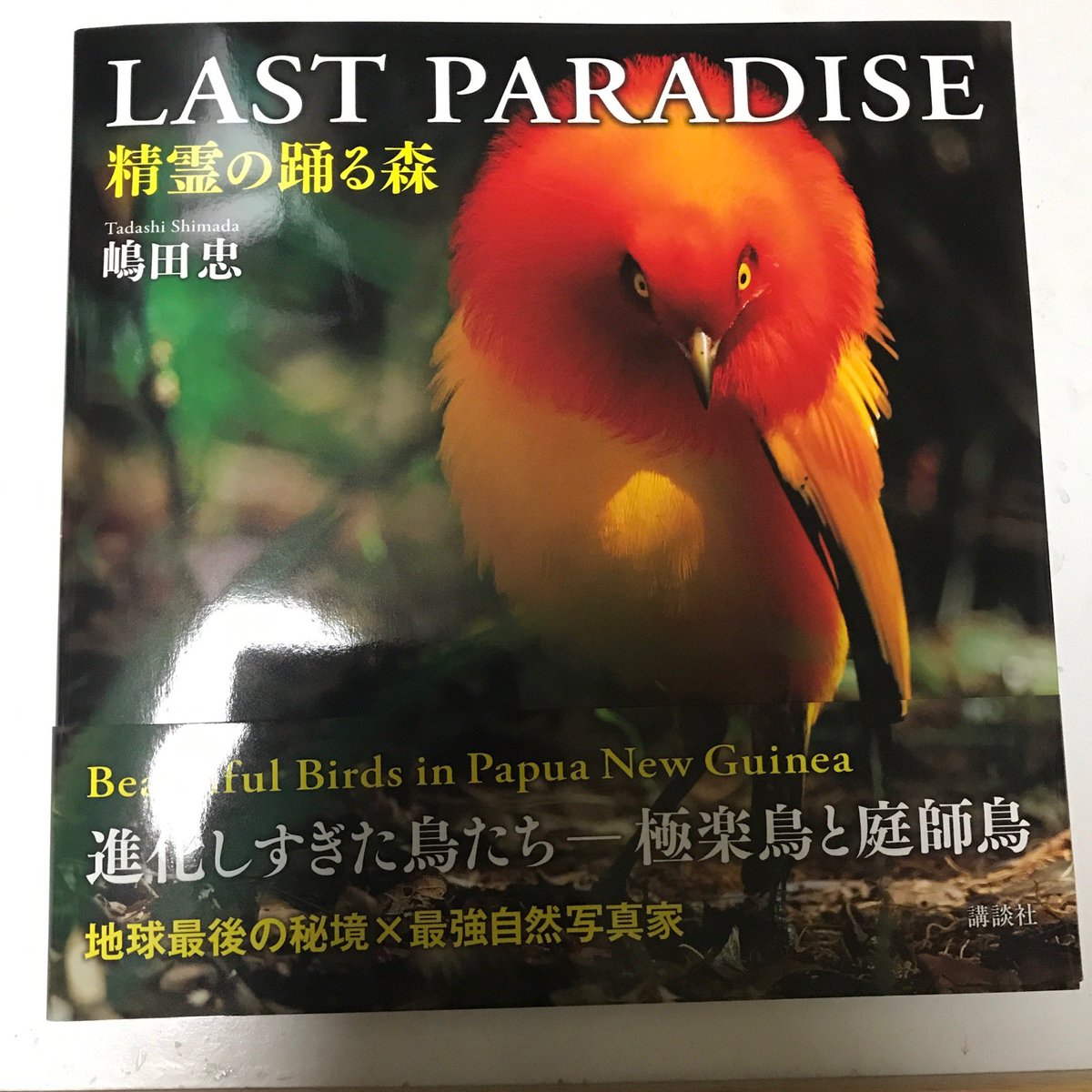 白鴻露 Last Paradise 精霊の踊る森 極楽鳥や庭師鳥の鮮やかな写真が詰まっている素晴らしい写真集が届きました 鳥ファンは是非買って欲しい 嶋田忠 鳥