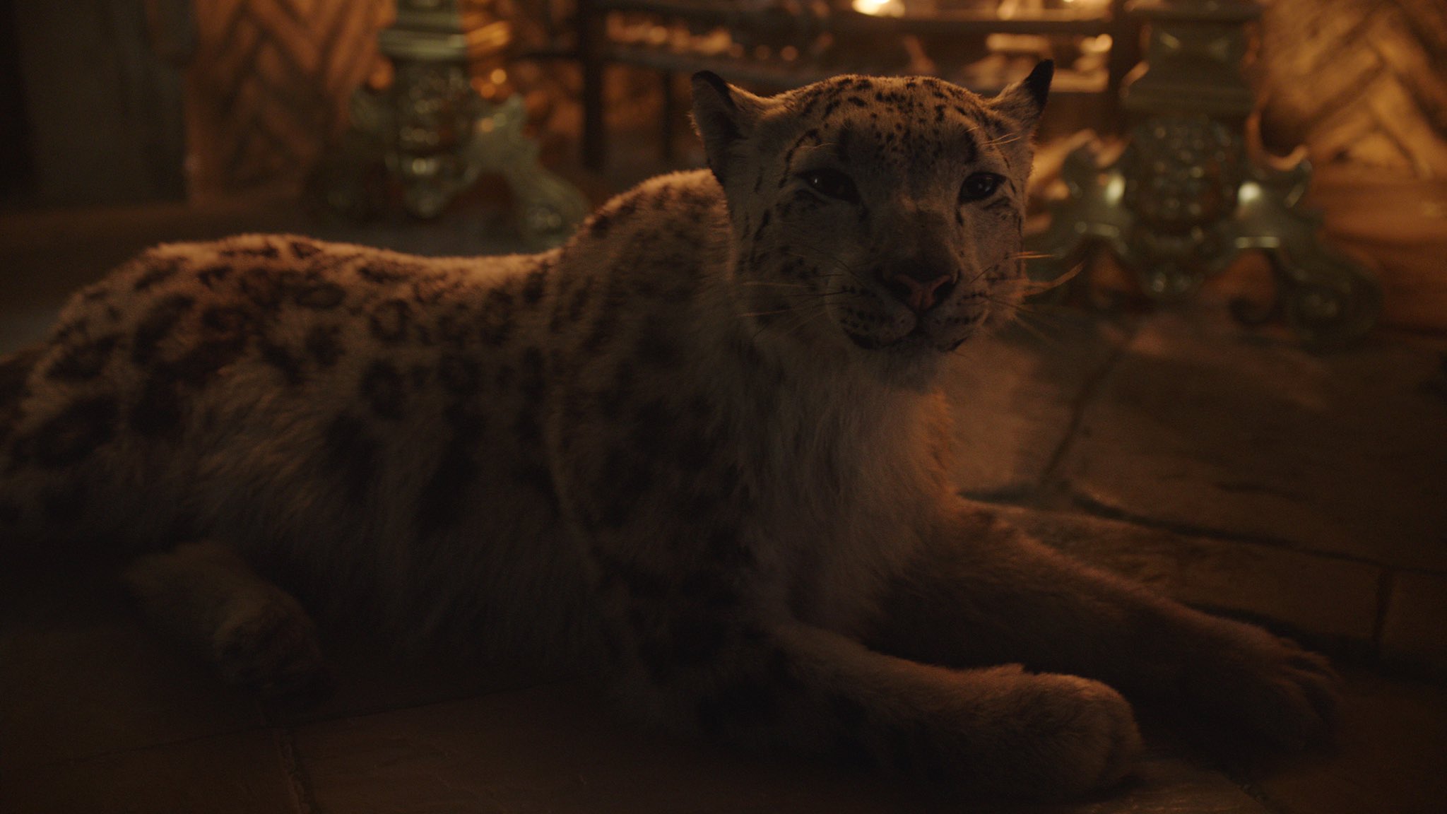 His Dark Materials On Twitter Helen Mccrory To Voice Stelmaria