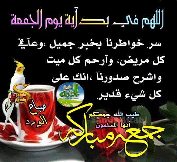 um salem (@umumsalem60) on Twitter photo 