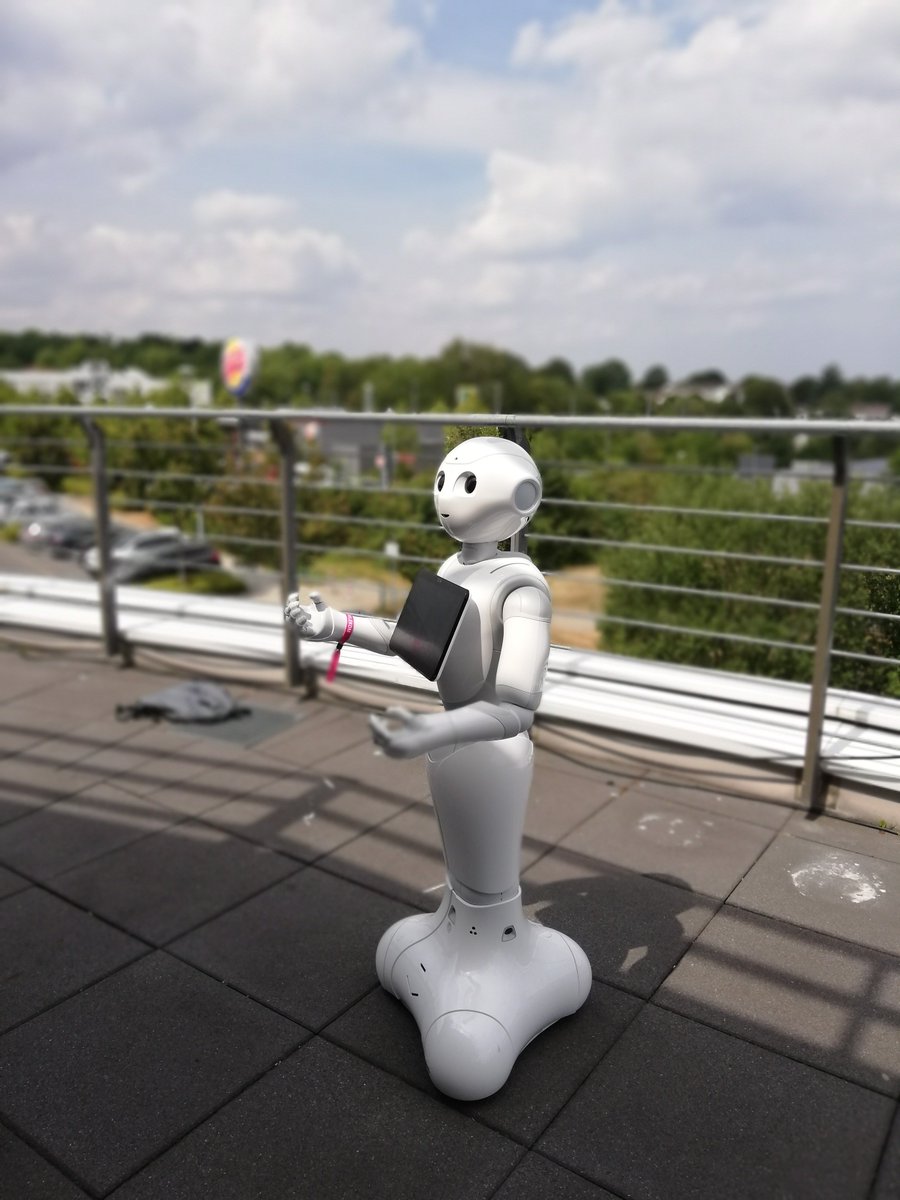 telekomOS's tweet photo. @codeunddesign Go for it,"Pepper and Salt"! Just a short update out of the rows of our team. What's going on? Summarized: #busytimes before the final #pitch: more coding, last modifications + presentation rounds #cdcamp #telekom #telekomwall @codeunddesign @MakerJayTelekom #robot https://t.co/k83ZibXGCF