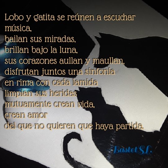BastetSl's tweet photo. Bailamos juntos, disfrutamos juntos, brillamos juntos, soñamos juntos... Amo siempre estar a tu lado, pensarte, soñarte, sentirte. Te amo p y p, @AldanaCezar😽😻😻 https://t.co/s8c762vEcK