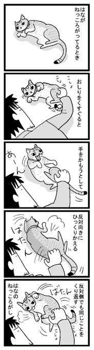 いつもこんなかんじ 
