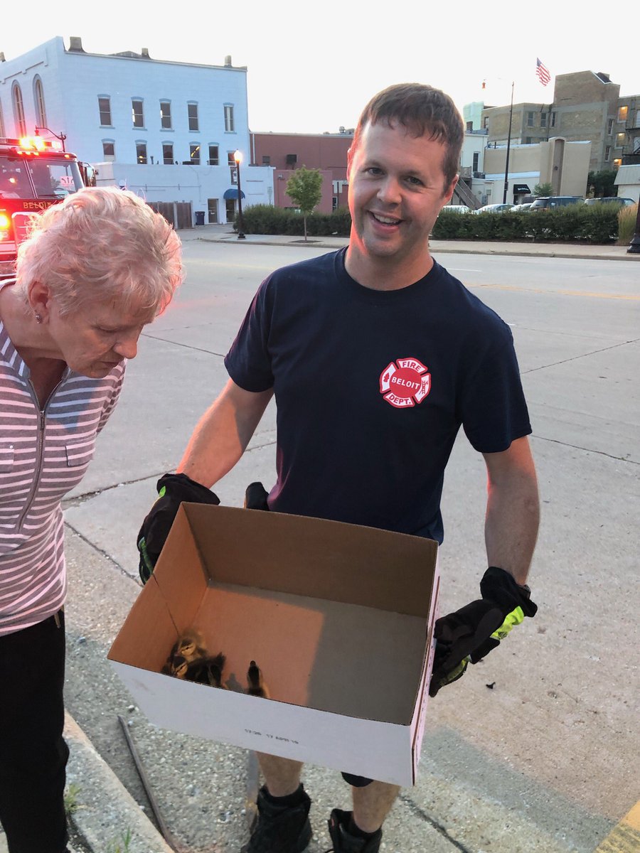 BeloitFire's tweet image. Duck rescue tonight. All the baby ducks were returned to Momma Duck!