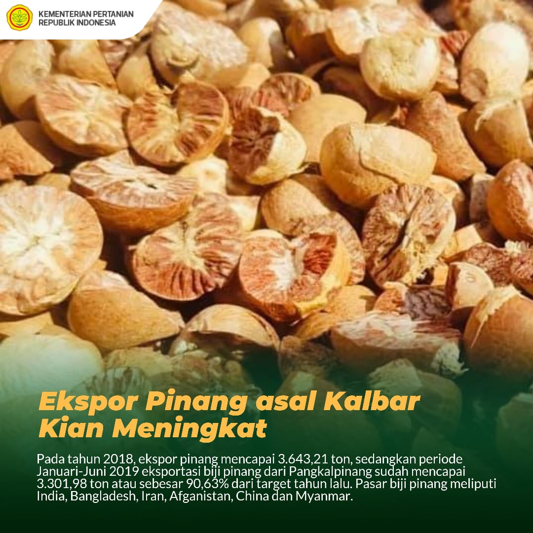 kementan's tweet photo. #SobaTani, ekpor biji pinang dari Kalimantan Barat meningkat, lho. Bahkan Kamis (18/7), Kepala Badan Karantina Pertanian, Ali Jamil melepas ekspor 162 ton biji pinang ke Thailand dari Pontianak. 
#EkspoeKita
#PanganUntukNegeri https://t.co/WacYjqQ5zq
