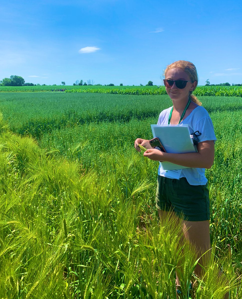 ag_loveher's tweet photo. Beautiful day for learning #ontag ๐๐๐ on cultive du savoir aujourdโhui! Belle journer pour le Eastern Ontario diagnostic Crop day ! @AgPlusQueJamais #summerschool #LearningEarly https://t.co/5yTur2Ya5T