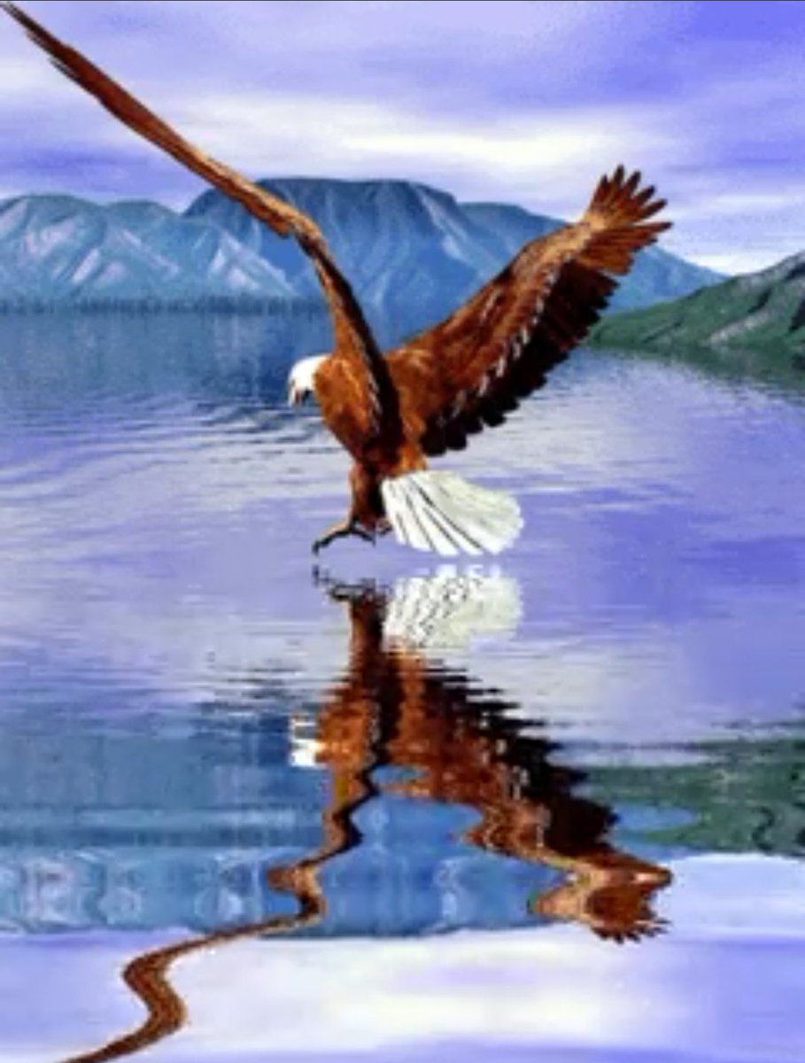 �������� ���� ��������