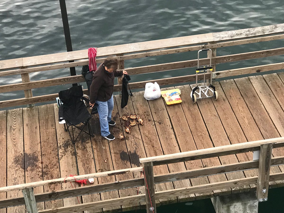 rbelanich's tweet photo. ⁦@WDFW⁩ you should patrol the docks in Kingston. Already over the limit and I think they are small. https://t.co/Q1MBI8AuZJ