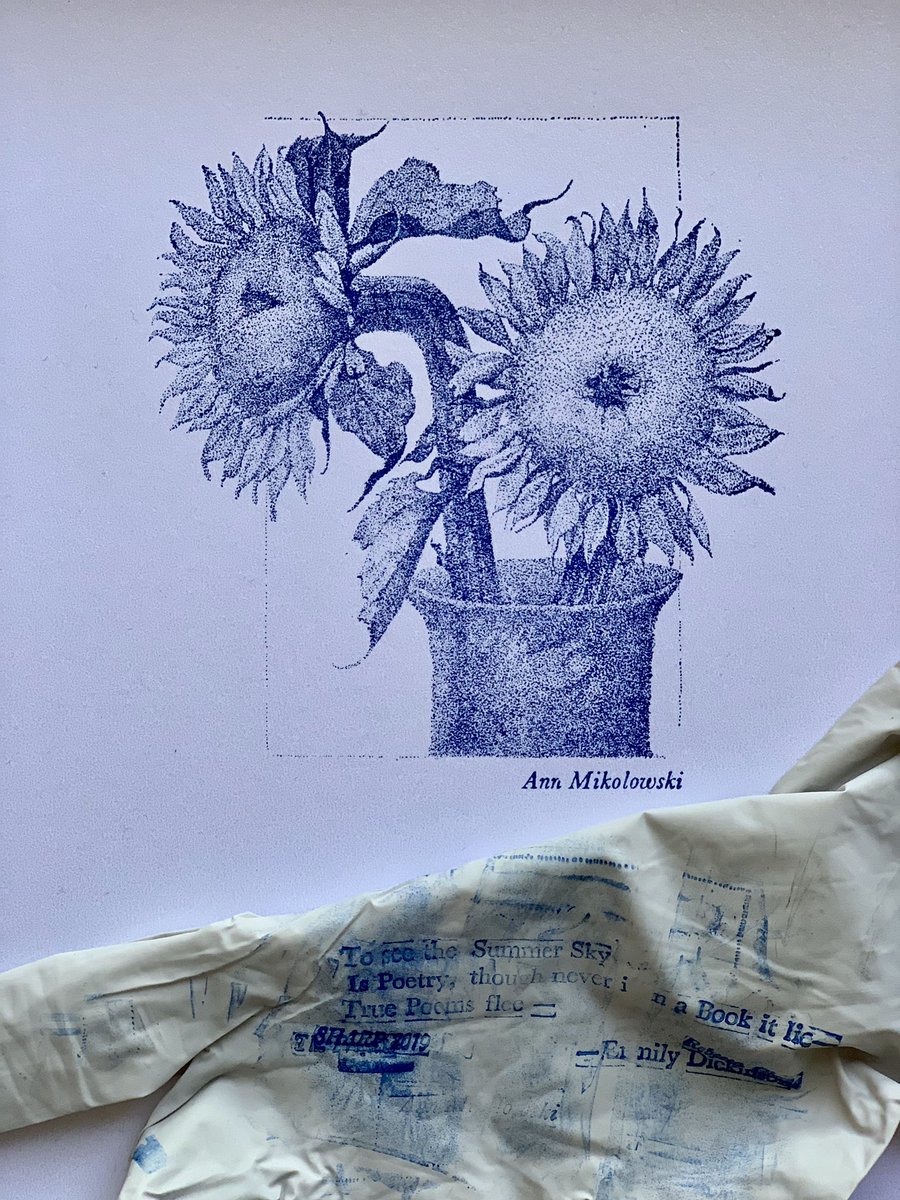 rebeccamchung's tweet image. Summer of #sharp19 #amherst thank  you!