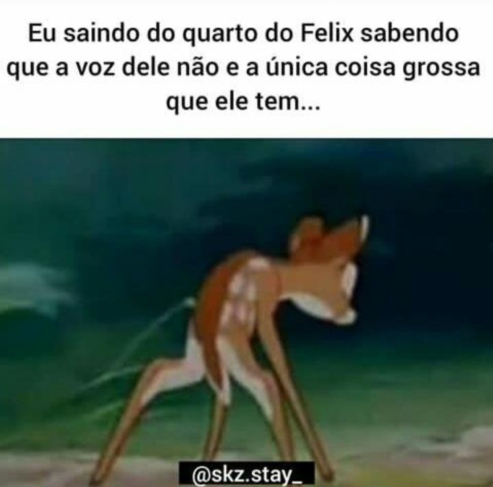 thatavaz_07's tweet photo. Essa eu não sabia 🤭KKKKKKKKKKKKKKKKKKK #Felix #StrayKids https://t.co/mJWFAoxpvY