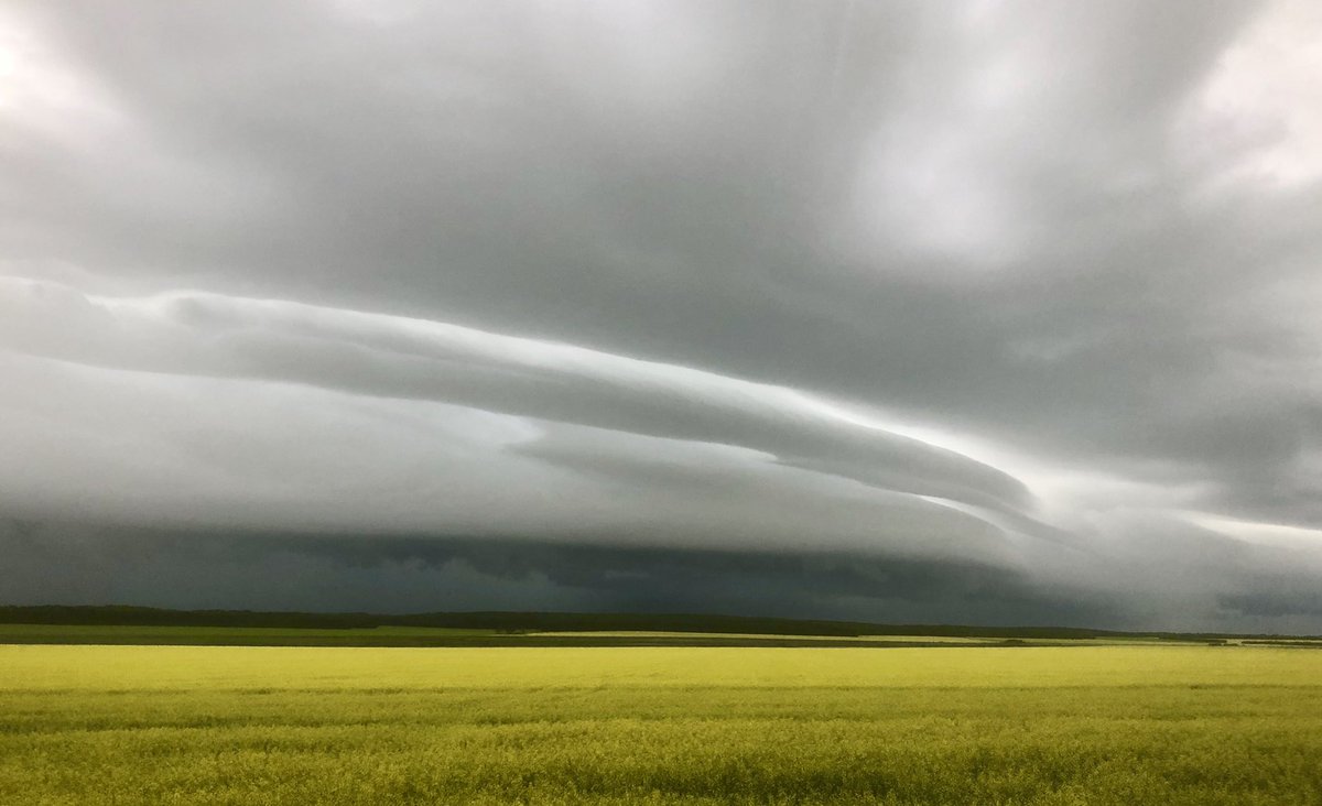 lecowell's tweet photo. Country road. Canola. Approaching storm. #skstorm https://t.co/pCrl4FNN9i