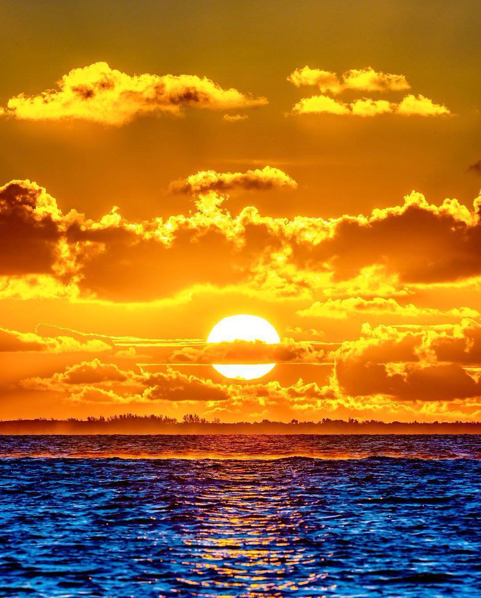 Gold sunset. Желтый закат. Закат на море. Закат над морем. Красивый закат солнца.