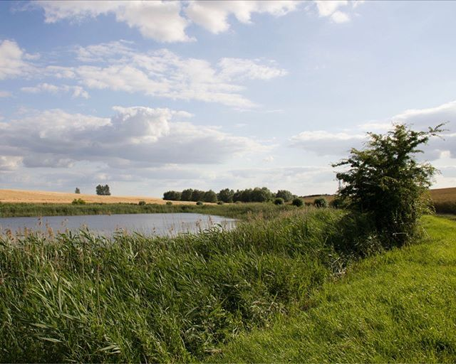 Bilder aus..
..Brandenburg - kein Gardasee aber #Moorbruchsee Uckermark
Wilde #Hasen soll es auch geben - Tiergeschichten mit Urlaubsdomizile Panorama aller Otto Film 
Foto <a href="/Uckermark_tmu/">Uckermark Tourismus</a> Uckermark Tourismus
