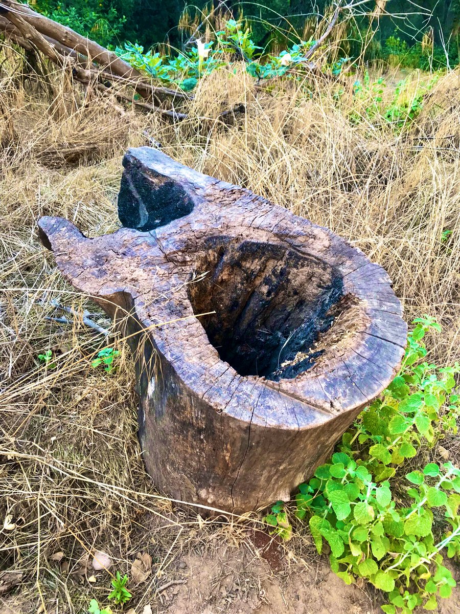 KeithAndrewRowe's tweet image. Nature’s potty.
#Hiking
#NaturesPotty
#WhitingRanch
#TheOC #SoCal
