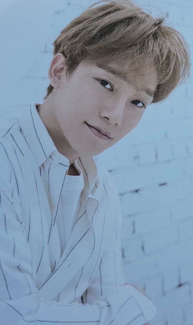 jongdae pics tweet media