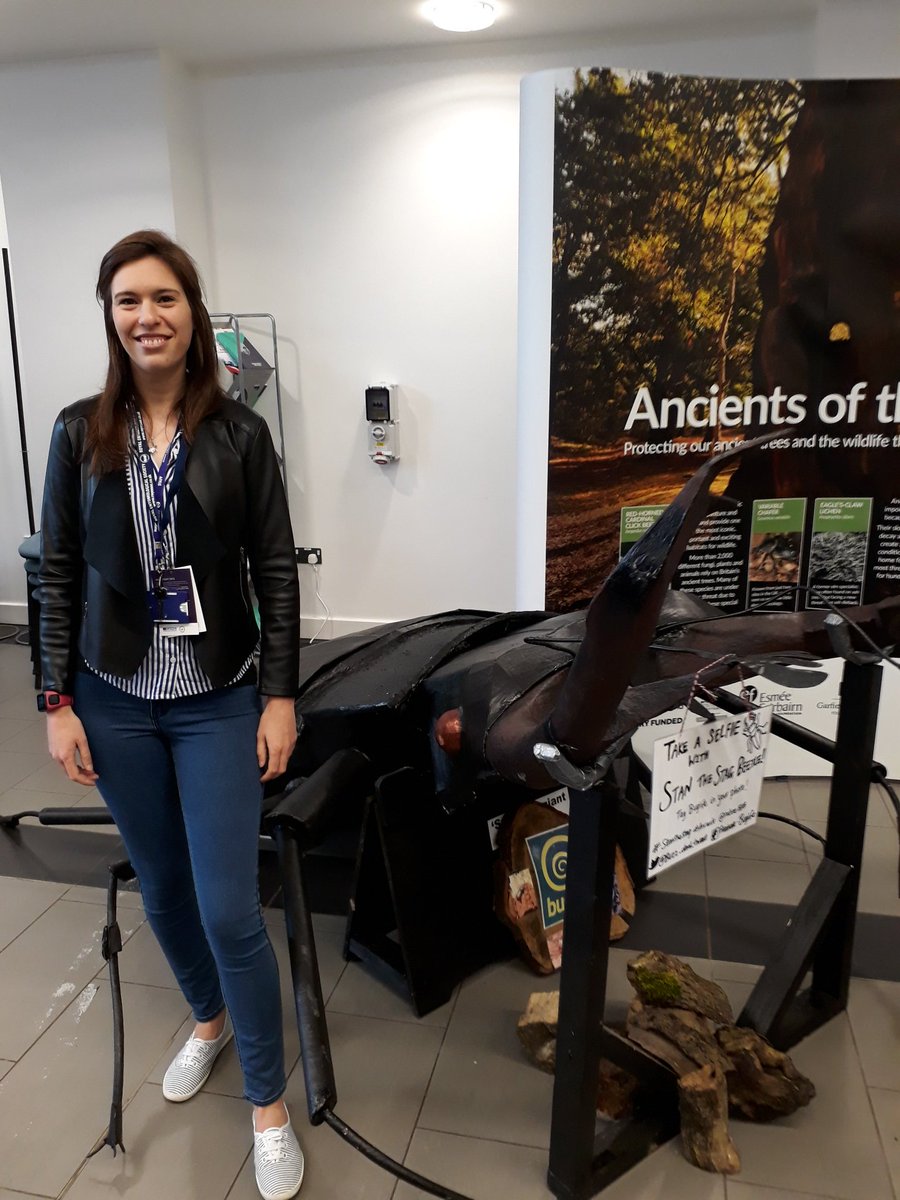 scienceheather's tweet photo. Stag stag stag! I couldn't take a selfie with #StanTheStag as his size is far too magnificent.
#EntoSci18 #entomology https://t.co/KyPwmTne2J