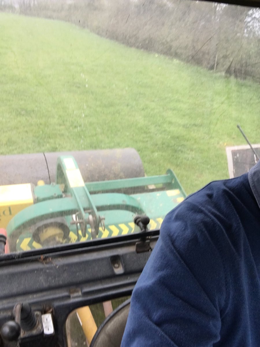 The Real Boar tweet media