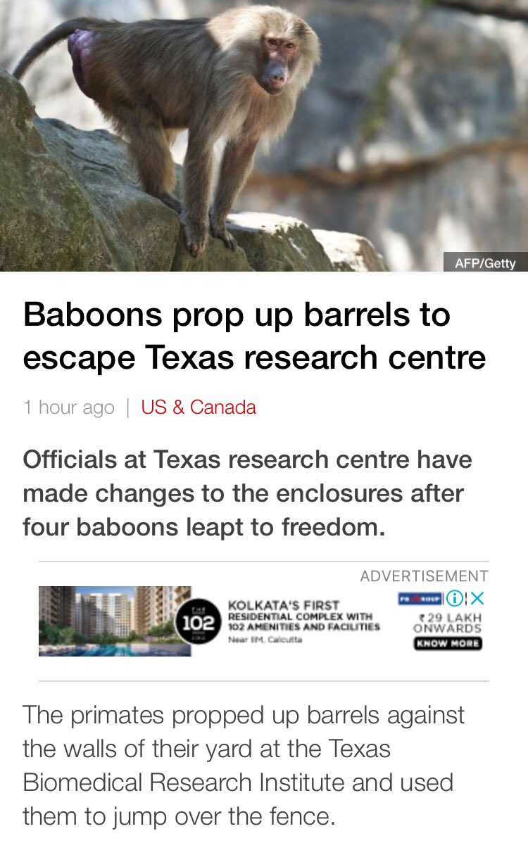 Voight-Kampff tweet media