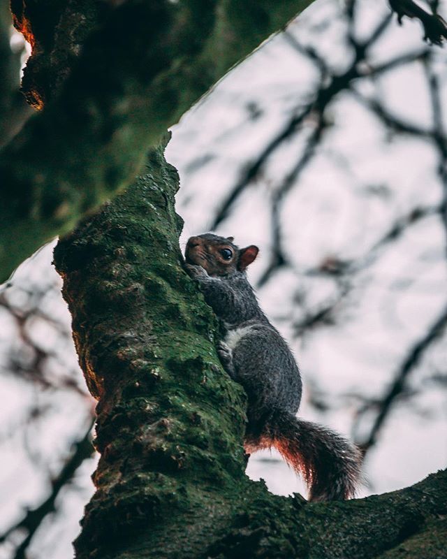IzakJackson's tweet photo. I want to do more wildlife photography. Animals are awesome 👌
-
#Traveling #Travelling #Traveler #Traveller #TravelTheWorld #GlobeTrotters #TravelLife #IGTravel #TravelPhoto #InstaPassport
-
#Landscape #Landscapes #LandscapeLovers #LandscapePhotography #LandscapeHunter #Land… https://t.co/M5E0YpCbWz