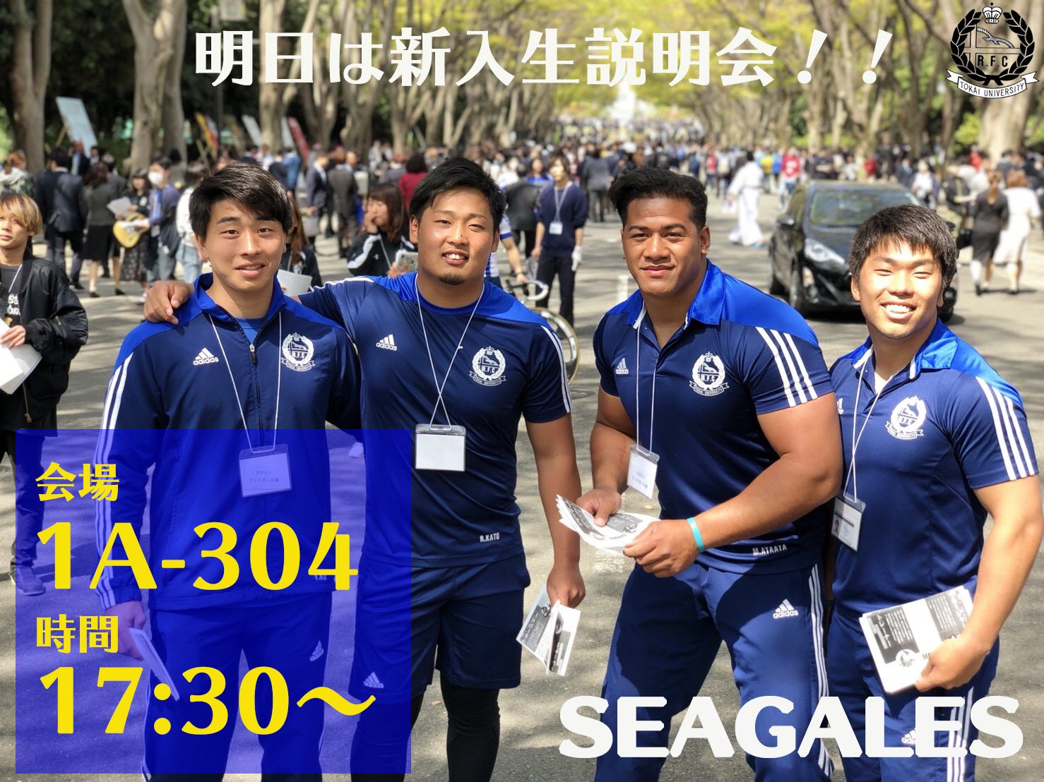 円高還元 東海大学ラグビー部 セットアップ ラグビー 円高還元 東海大学ラグビー部 セットアップ ラグビー