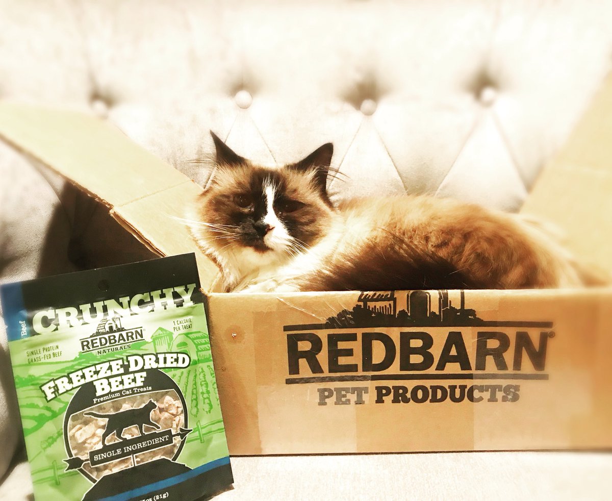 DigsbysWoofPack's tweet photo. Not moving until there’s a treat on my 👅 ~ 💖Lily
#IfItfitsISits #CatsOfTwitter
DID YOU ENTER?? Redbarn's NO 🚫 Rawhide #Giveaway (LINK IN OUR BIO) Ends 4/22/18
Presented by Redbarn @redbarninc and Pawstruck @pawstruck
#RedBarnInc #PawstruckPets
Pssst, stuff4️⃣kitties2️⃣ https://t.co/rDXSnQWgLb