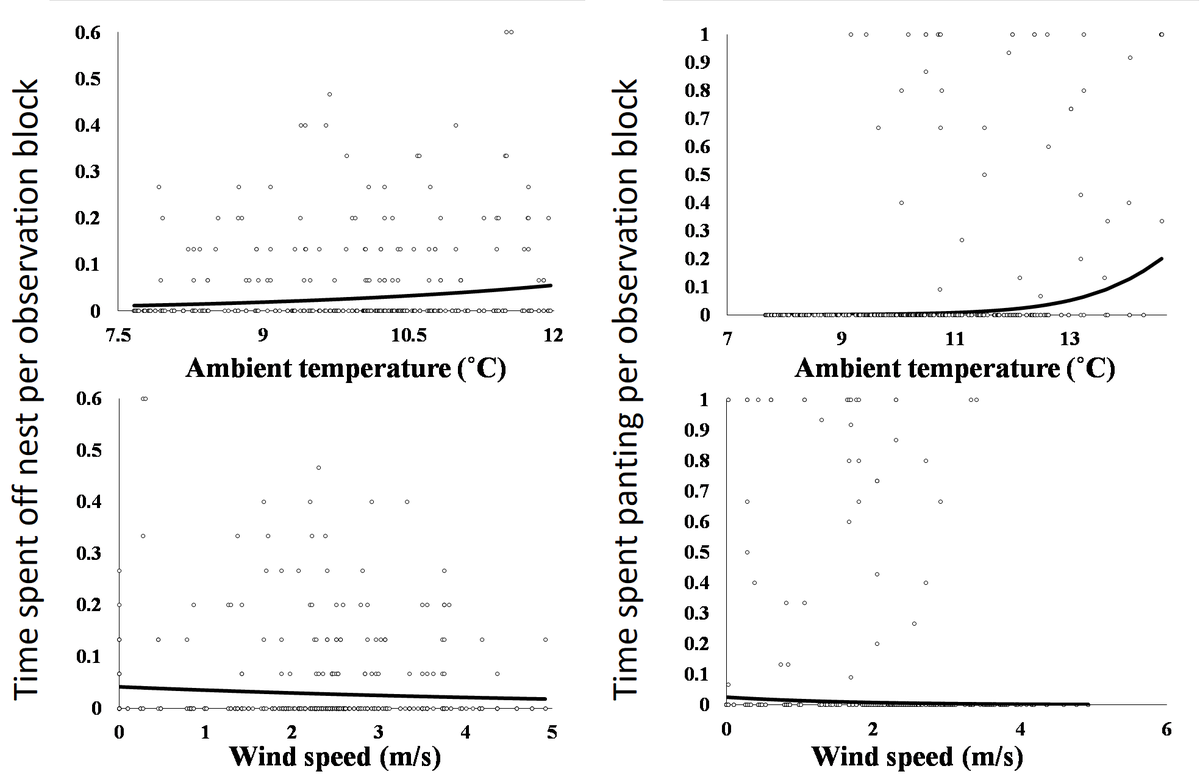 JnHansen1's tweet photo. 3 #WSTC4 #ClimCha Even in a narrow temperature range, we found lower #incubation effort at higher temperatures and indication of #thermalstress at temperatures as low as 9°C #ornithology #seabirds #climatechange https://t.co/XKY77z0TK2