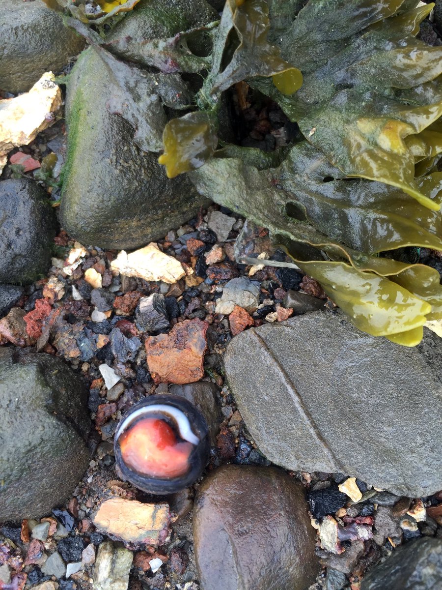 DinanElizabeth's tweet image. #SceneInPortsmouthNH @seacoastonline