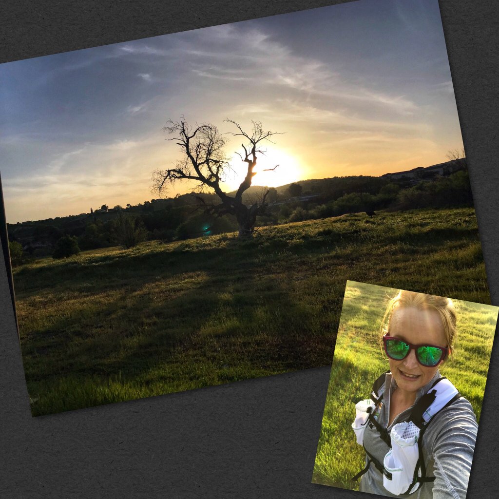 SlackerRunner's tweet photo. Big Sur Marathon Training-Week 15- New Post! #trainingrecap @bsimevents #bsimbr #bibchat #bibravepro https://t.co/7hZrmYqGVU https://t.co/YjBj0yOtwv