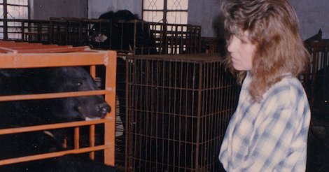 25 years ago Jill Robinson first uncovered bear bile farming.

Touched by the paw of moon bear Hong, she made it her life's mission to end the cruelty.

It was a moment of pure empathy which lit a spark that changed the world.

animalsasia.org/intl/social/ji…