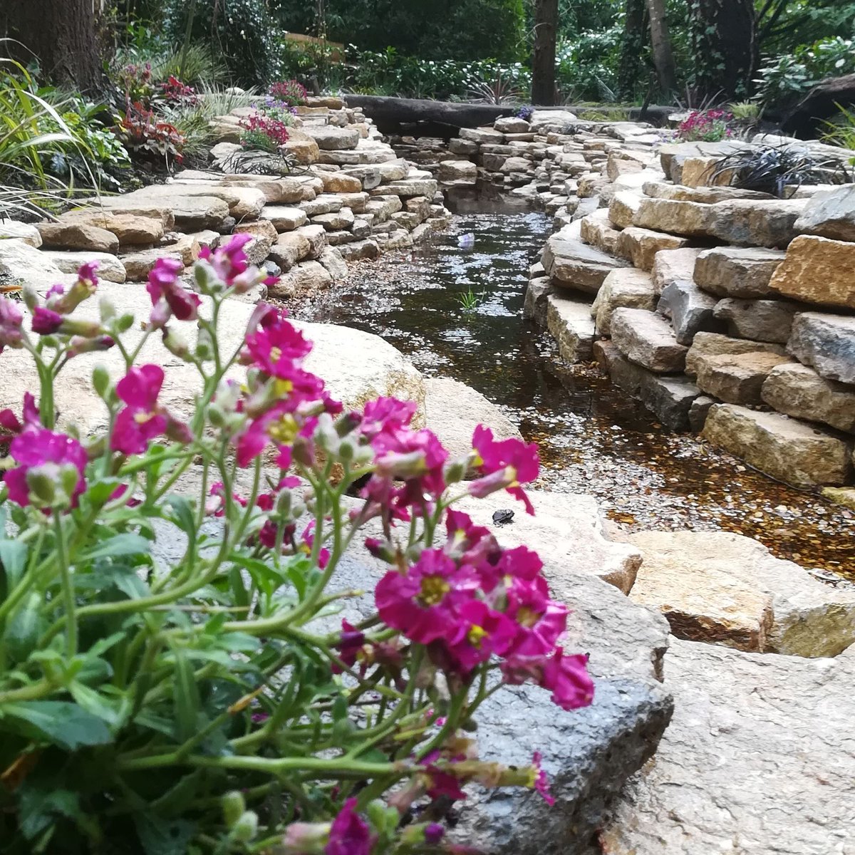 EdensLandscapes's tweet photo. Great work by our gardeners! #gardenprojects #springtime https://t.co/msvnfpODVG