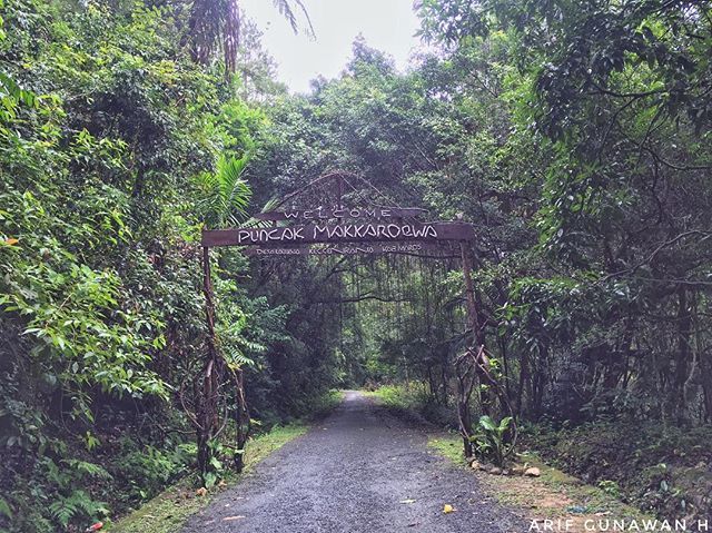 4rifgunawan's tweet photo. Mau ke mana?
.
.
.
.
.
==============================
📍Puncak Makkaroewa, Maros, Sulawesi Selatan, Indonesia
==============================
#explore #exploremaros #exploresulsel #exploreindonesia #photography #jjs_maros #mtma_maros #makkaroewa #maros… https://t.co/eUPGSv9v5e https://t.co/x31bVIXwD7