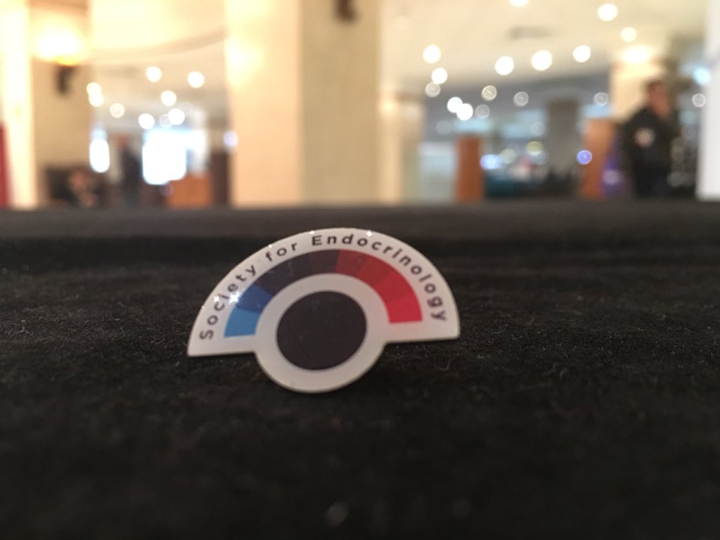ClaireWoodall's tweet image. Second day, ready steady go...for Endocrine Academy #threeinone @bioscientifica @Soc_Endo #ENU2018 #CDW2018 #CU2018 #endocrineacademy2018
