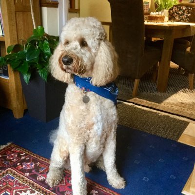 ludoodle's tweet photo. #NewProfilePic https://t.co/mmigEhvXfn