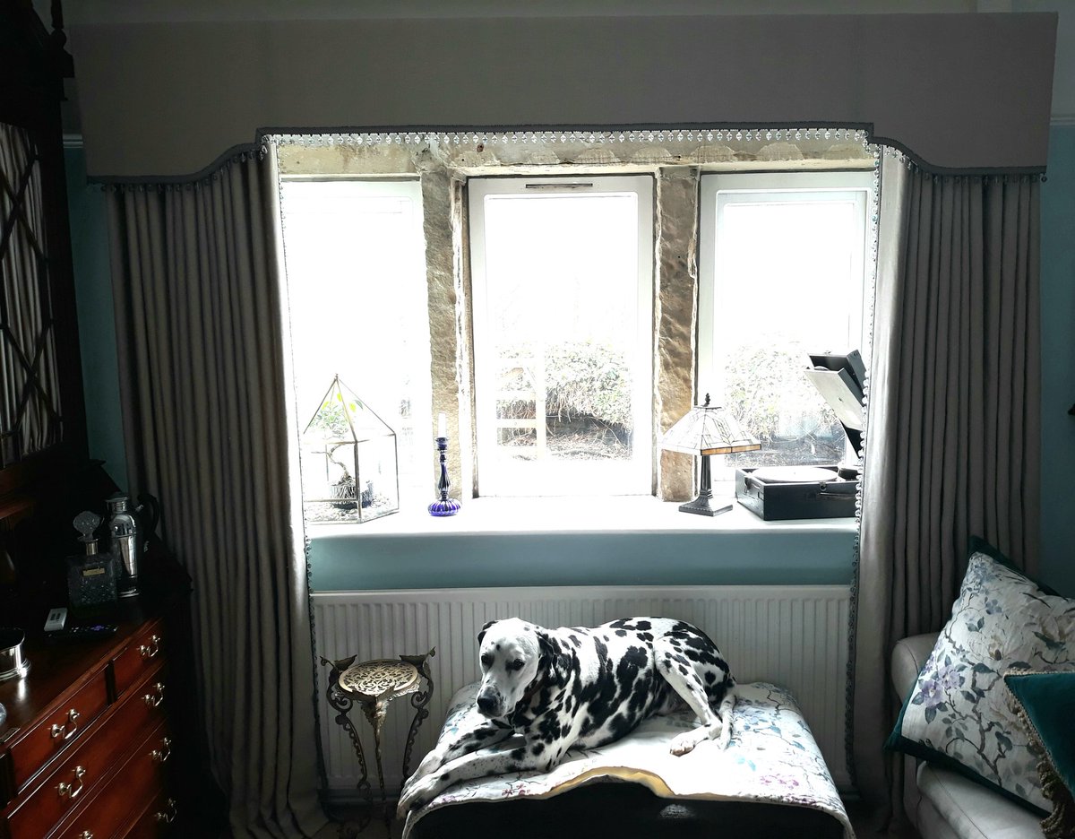 StudioCurtains's tweet photo. Bertie is inspecting his new curtains, I think he approves....
@JonesIntrs
#portabellotrim
#HandmadeInHipperholme 
#curtains 
#cushions 
#romanblinds 
#pelmets https://t.co/A6TNInrM9a
