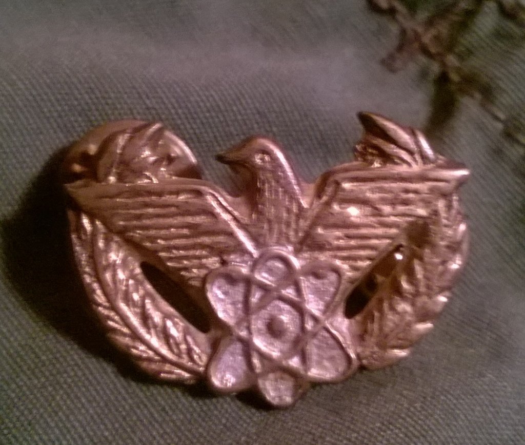 RTbaochi's tweet photo. A donation from Captain Larry Letzer, 221st Signal Comp (Pictorial) the ARVN 'Atomic Chicken' badge worn in Vietnam. https://t.co/kZHuASIc0L