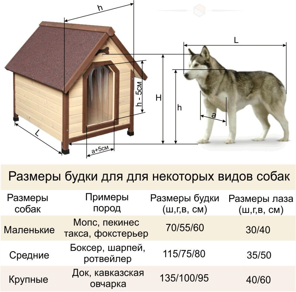 схема будки для собаки своими руками