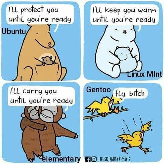 mhoungbo's tweet photo. #linux #Funny #Comics #Gentoo https://t.co/zAjfRcMzfJ