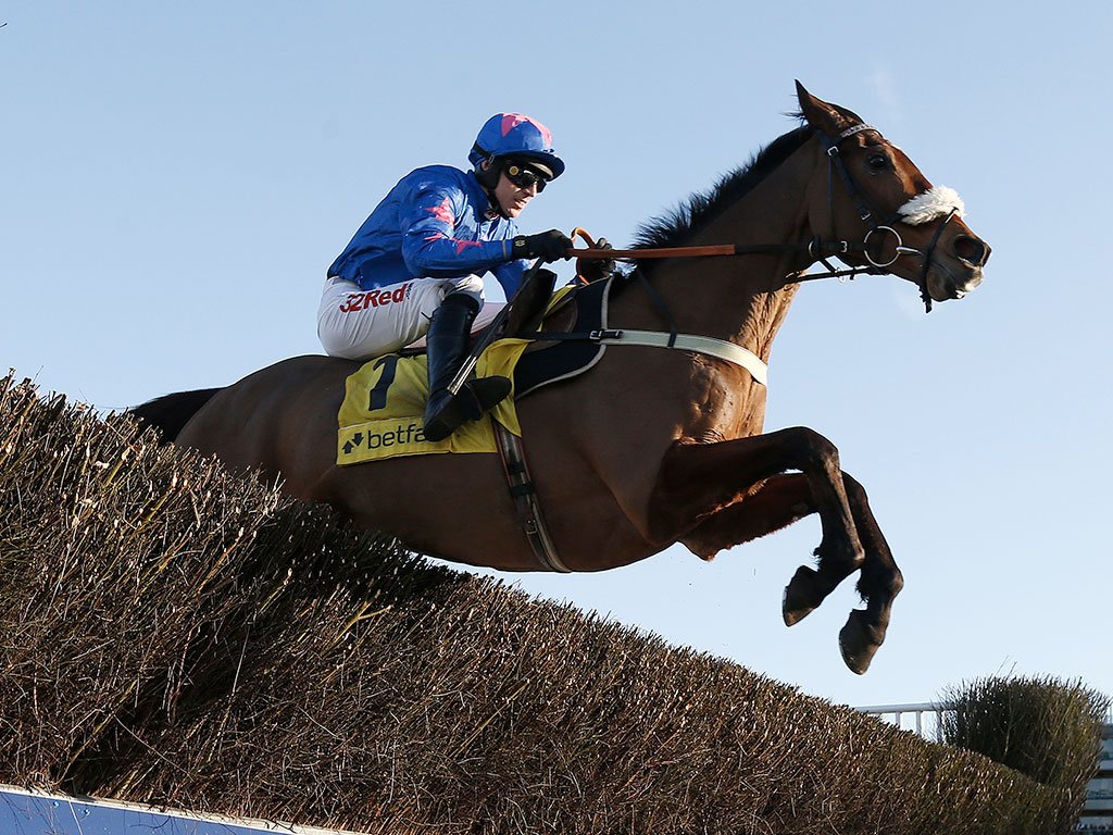 RacingPost's tweet photo. Cue Card, one of the sport's biggest stars, has been retired this morning - let's have your favourite memories of him ... https://t.co/fjvJSfBgNl